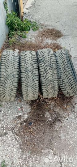 Cordiant Standart 205/55 R16