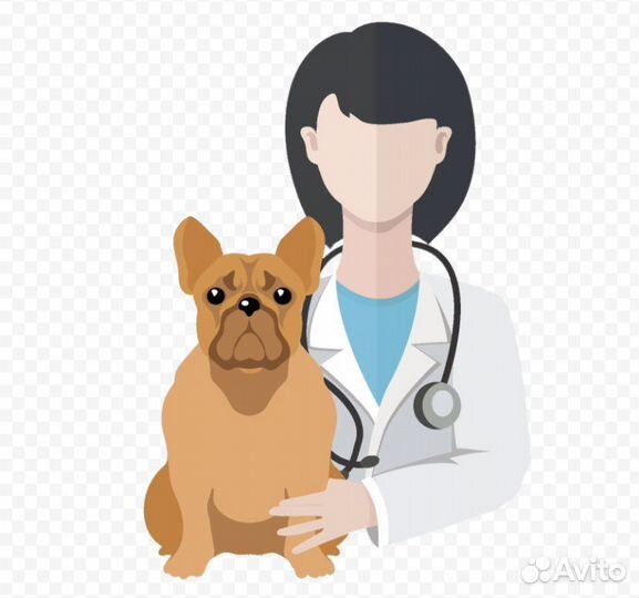 Ветеринарный врач на дом круглосуточно