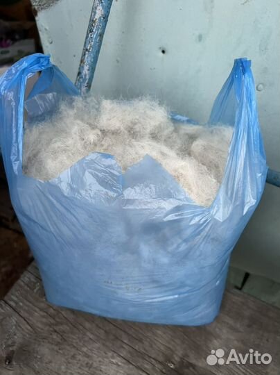 Собачья шерсть и пух