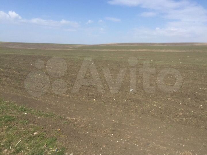 Участок 3,23 га (СНТ, ДНП)