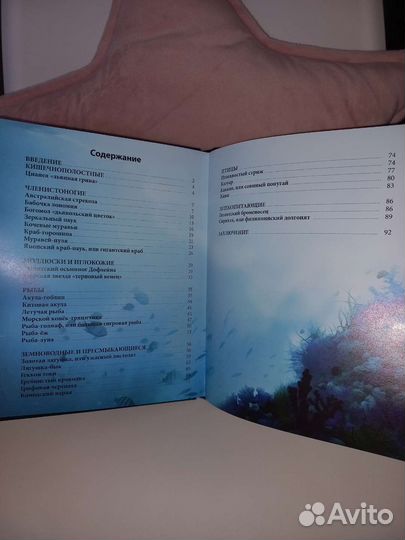 Энциклопедия 