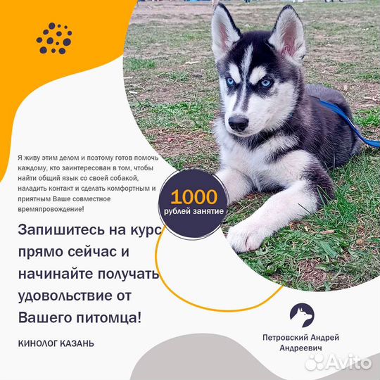 Дрессировка собак. Кинолог