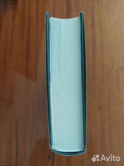 Д. Лагеркранц. Девушка, которая застряла в паутине