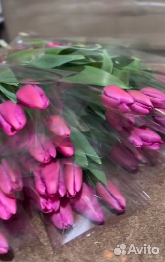Тюльпаны к 8 марта оптом