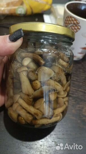 Грибы маринованные, сушёные. Опята, подосиновики