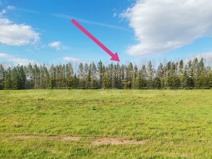 Участок 4,6 га (СНТ, ДНП)