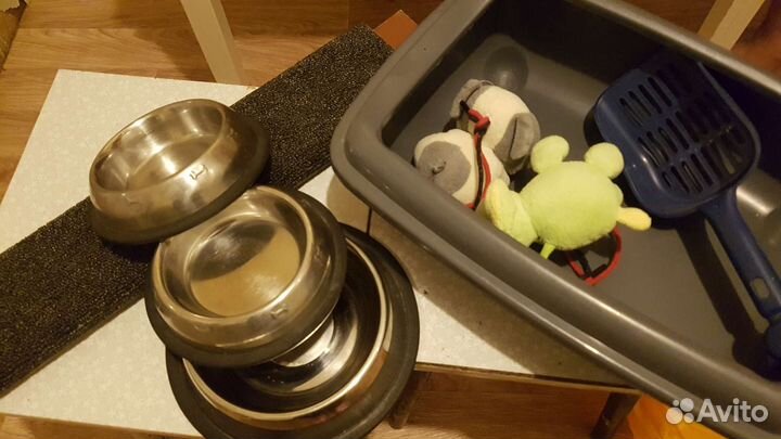 Аксесуары для кошек