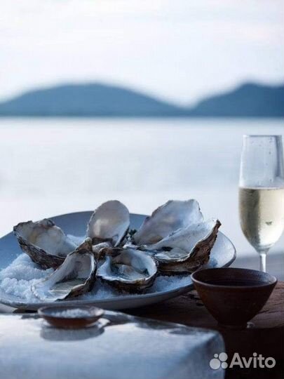 Аренда яхты Dufour 43 в Крыму до 10 человек