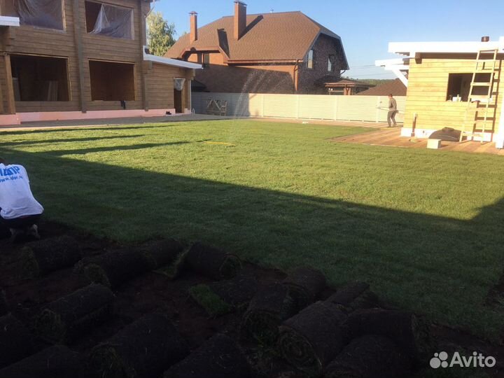 Рулонный газон, Монтаж под ключ, Автополив