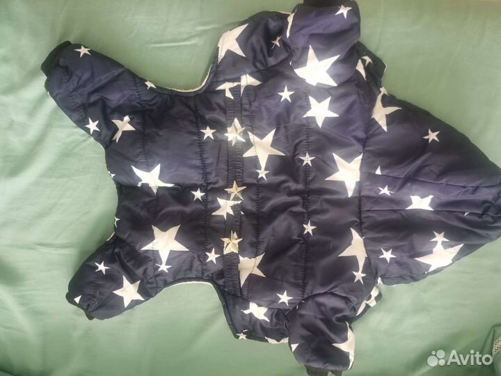 Одежда для маленьких собак