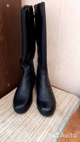 Сапоги женские весна- осень