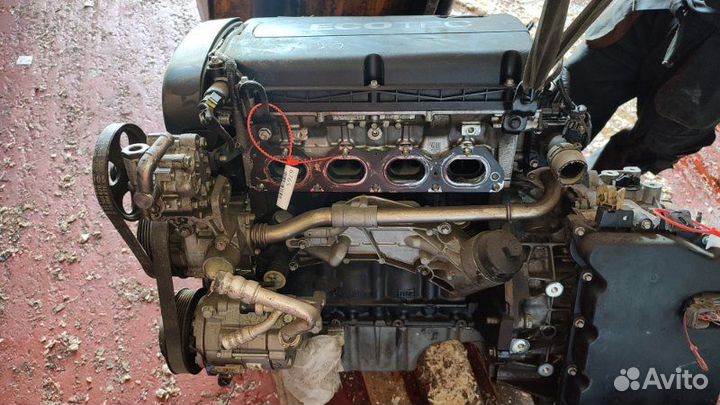 Двигатель Chevrolet 1.6 И F16D4 (б/у)
