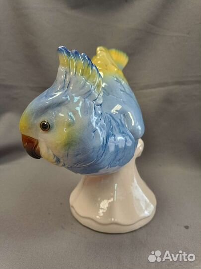 Статуэтка Попугай Фарфор Германия