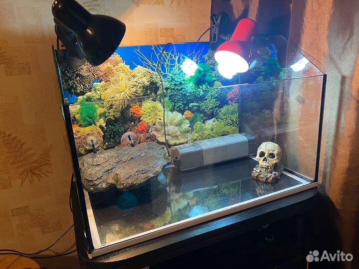 Аквариум (Террариум)