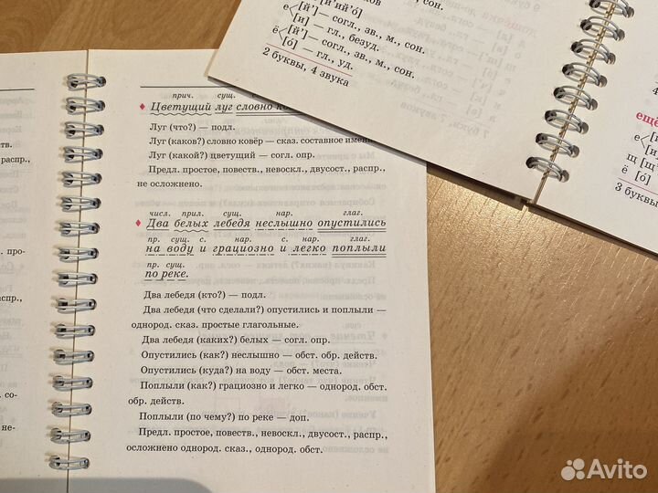 Карманные словарики