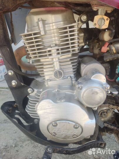 Racer 200xzt