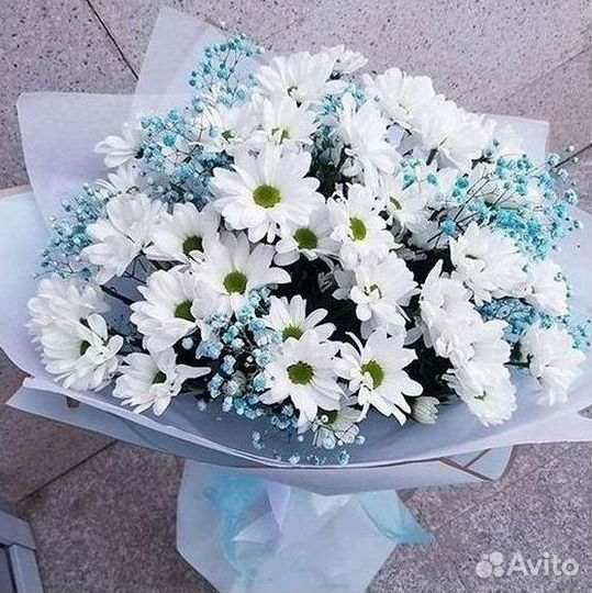 Хризантема