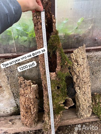 Кора пробкового дуба