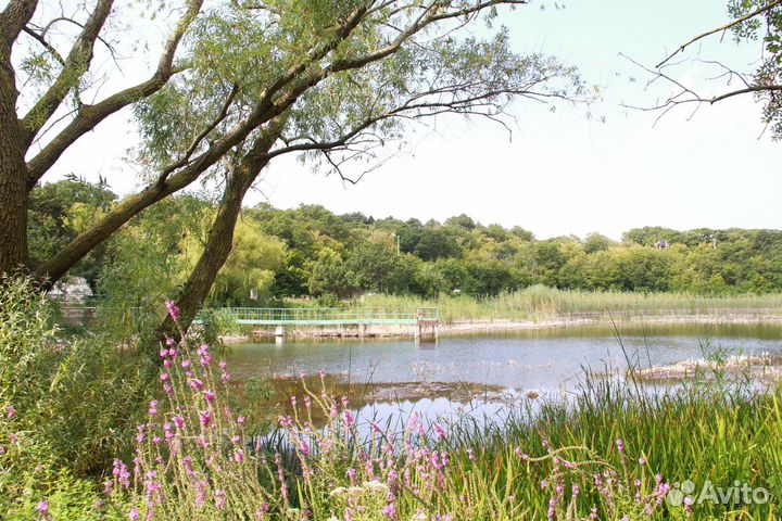 Отдых на море в Дюрсо (Новороссийск, Абрау-Дюрсо)