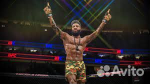 UFC 4 PS4/PS5 Сургут