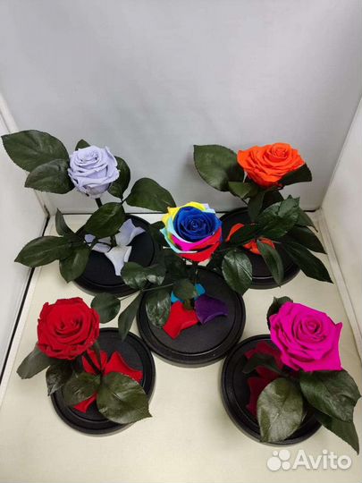 Роза в колбе оптом и в розницу