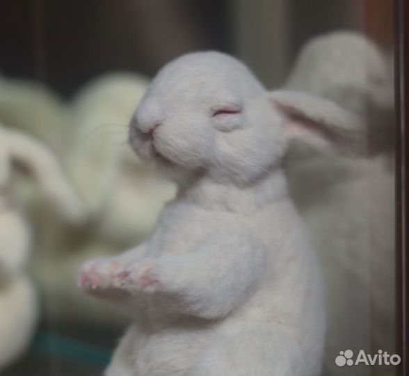 Игрушка кролик тедди, подарок на Пасху