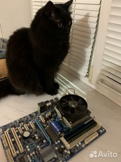 Материнская плата ам3 комплект