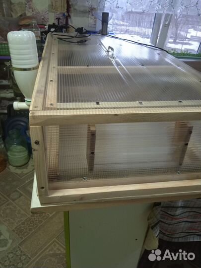 С Брудер для циплят