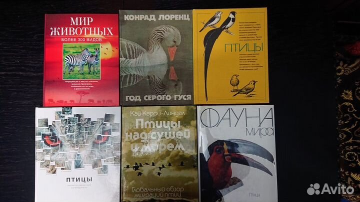 Птицы России. Книги по орнитологии