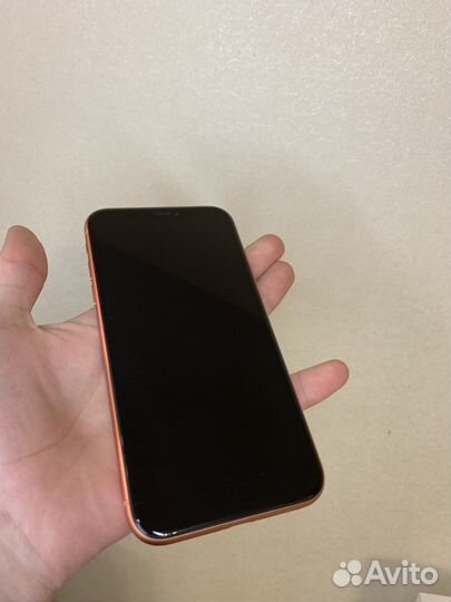 iPhone xr