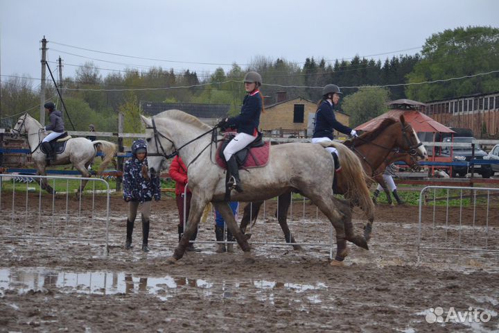 Редингот для конного спорта