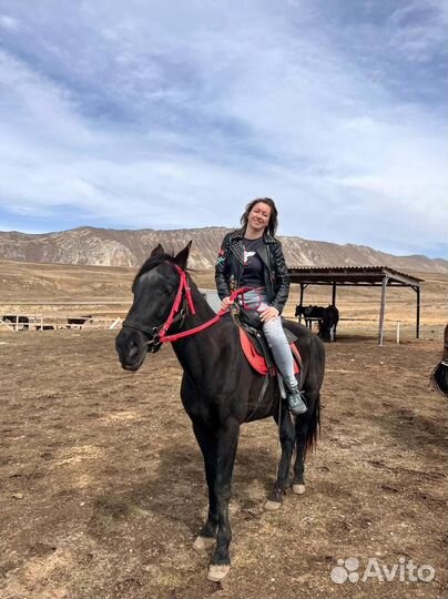 Туры по Дагестану 6 дней. Море и горы Все включено