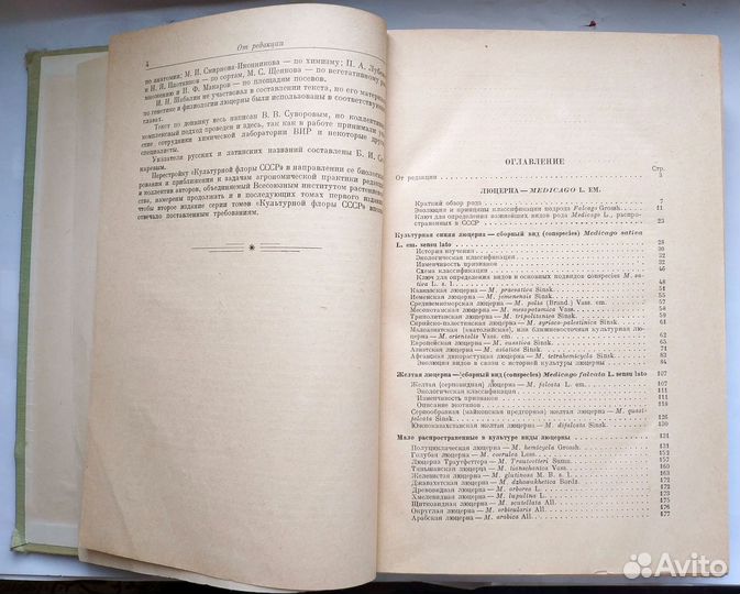 Культурная флора СССР Том13 Многолетние травы 1950