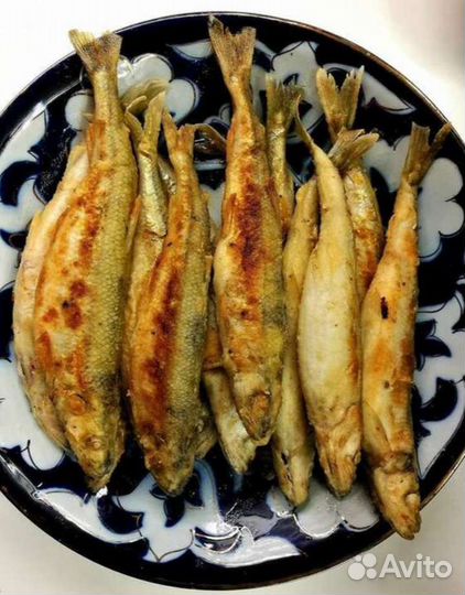 Корюшка Дальневосточная Рыба