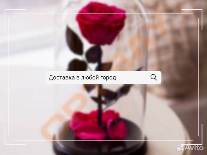 Роза в колбе. От производителя
