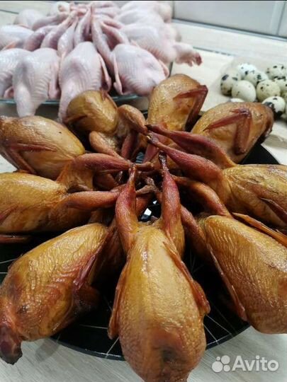 Мясо перепелов с фермы