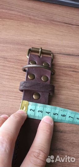 Ошейник для собак