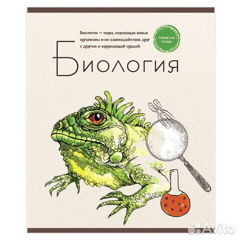 Тетради предметные 48 л, 8 видов