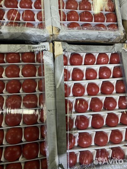Узбекские Помидоры