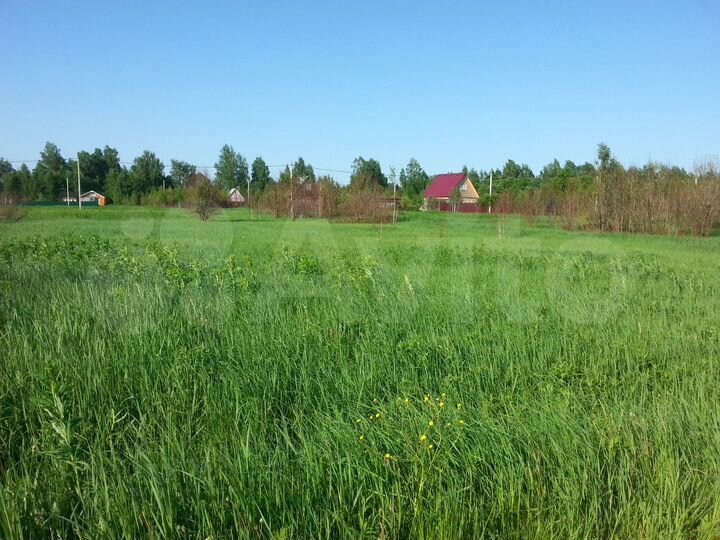 Участок 8 сот. (СНТ, ДНП)