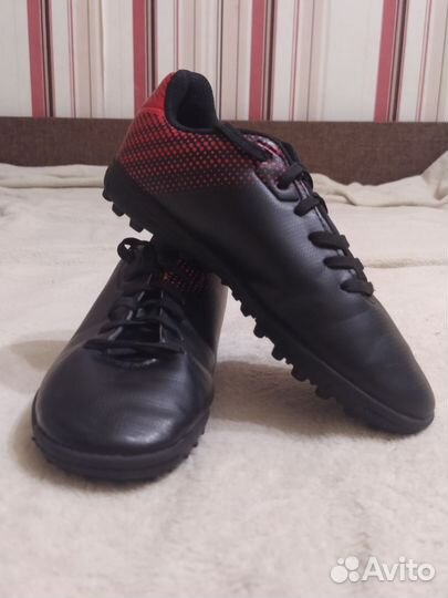 Сороконожки