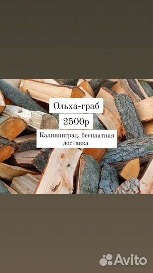 Дрова колотые береза