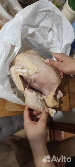 Домашние куры бройлеры, творог, сметана, молоко