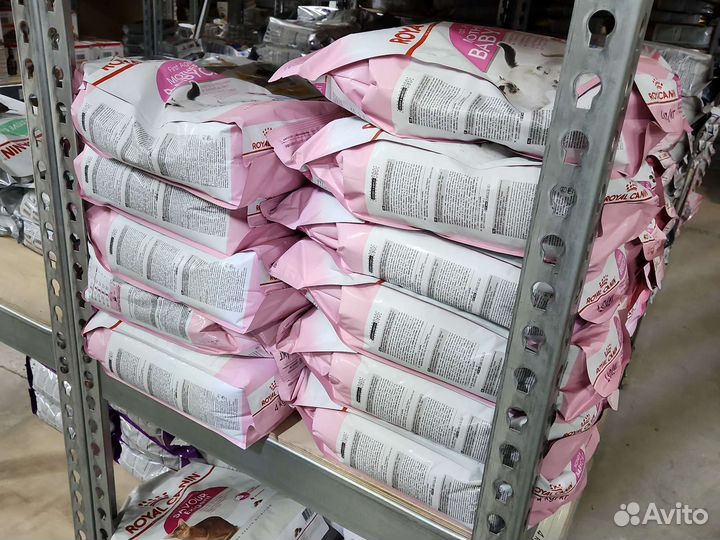 Сухой корм Роял Канин для котят (Royal Canin)