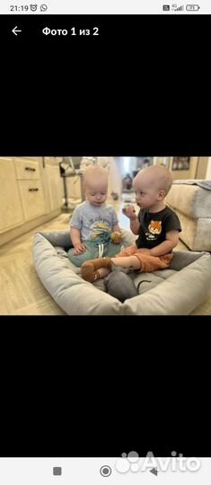 Лежанка для собак