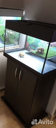 Аквариум на 100 л с тумбой для черепахи