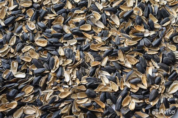 Шелуха подсолнечника Мульча удобрение