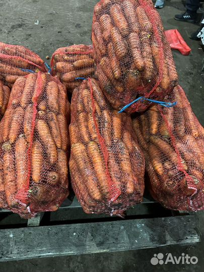 Морковь корейка