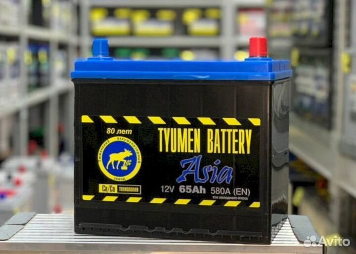 Аккумулятор с гарантией tyumen battery asia 65 Ач