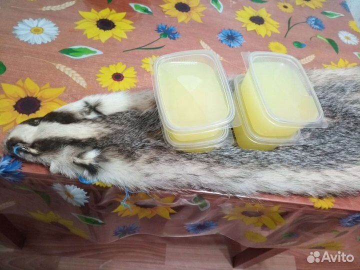Барсучий жир от охотника